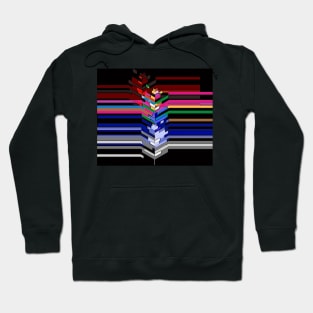 Elongated Color Hoodie